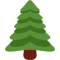 Midlothian Tree Removal Experts
